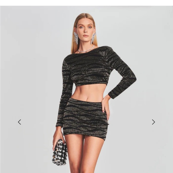 Retrofete Emory Sequin Tiger Stripe Skirt in Black Size Medium - Picture 2 of 5